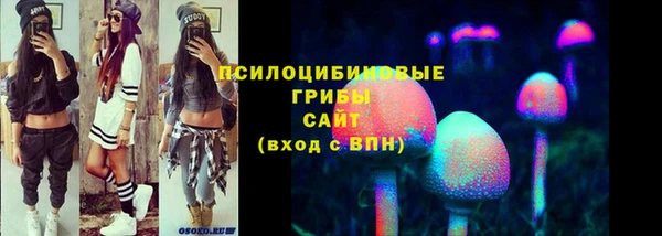 стаф Алзамай