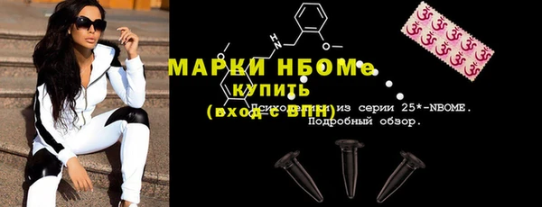стаф Алзамай