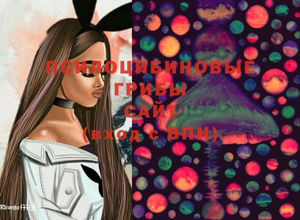 стаф Алзамай