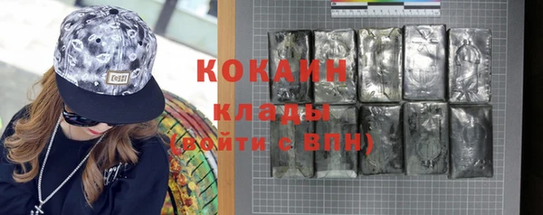 стаф Алзамай