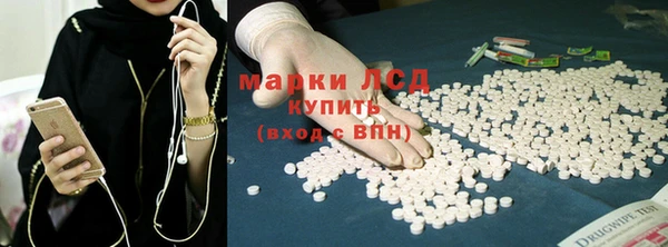 стаф Алзамай