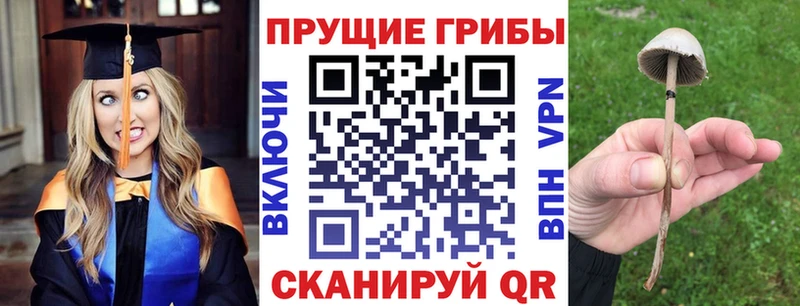 где купить наркотик  Ликино-Дулёво  Галлюциногенные грибы Cubensis 